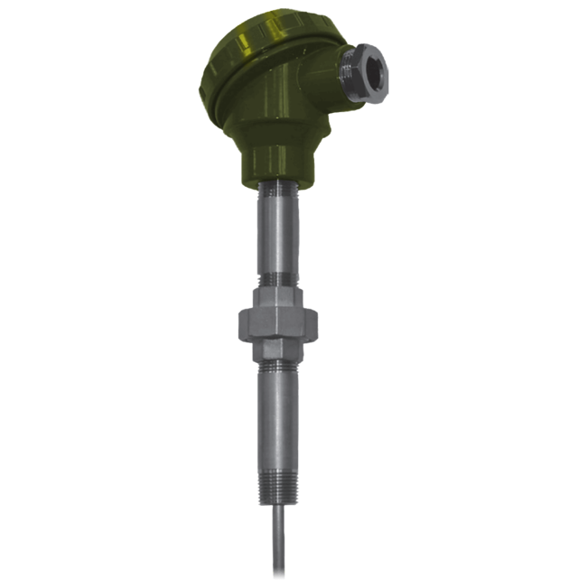 Winters Instruments Industrial RTD, TER